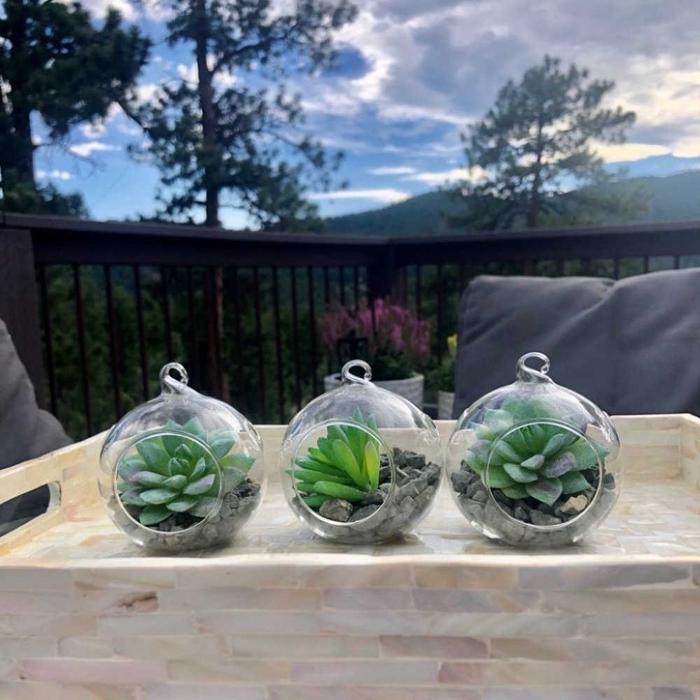 Set of 3 succulent terrariums - Picture 15 of 16